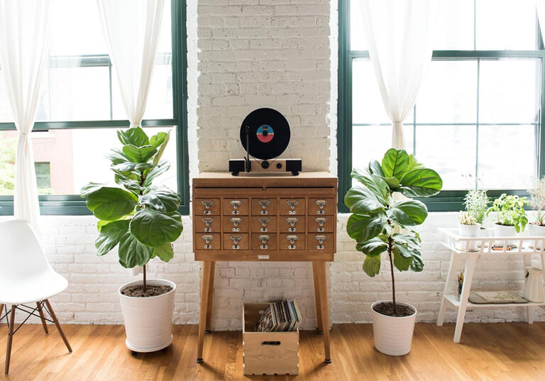 Gramovox erable disc noir 2